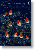 Christmas Robins, For All the Family Christmas Card Christmas Robins, For All the Family Christmas Card