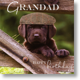 Flat Cap Pup, Grandad Birthday Card