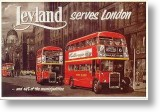 Leyland Buses