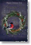 Bullfinch, Across the Miles Christmas Card