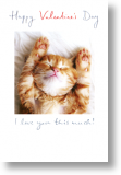 Cute Kitten, General Valentine's Day Card