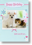 Puppy and Kitten