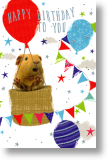 Guinea Pig, Cute Children's Birthday Card