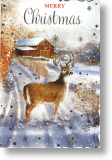 Just for You, Christmas Card