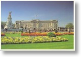 Buckingham Palace, London Postcard