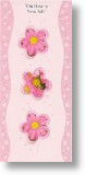 Pink Daisies