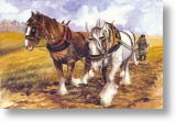 Ploughing the Field