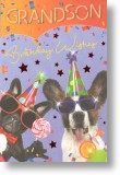 Party Pooches Grandson Birthday Card