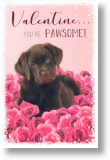 Pawsome, Cute Valentine's Day Card