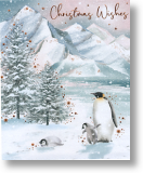 Penguin Family, Christmas Card