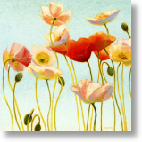 Poppies, Birthday Card for Her