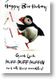 Puffin, Birthday Card for Him