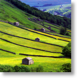 Rolling Hills, Scenic Blank Card