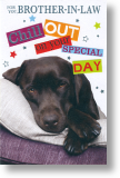 Chill Out, Brother-in-law Birthday Card