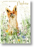 Smiling Fox, Nephew Birthday Card