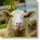 Well Old, Unisex Birthday Card