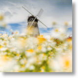 Whitburn Windmill, Scenic Blank Card