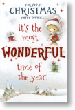 Wonderful Time, Cute General Christmas Card