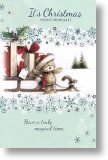 Truly Magical Time, Cute General Christmas Card