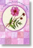 Purple Patchwork, Mum Mother's Day Card