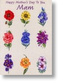 Summer-Flowers - Mam
