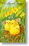 Little Chicks, Nan and Grandad