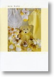 Yellow Teddy
