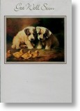 Puppies, Get Well Card
