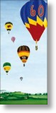 Freedom, 60th Birthday Card