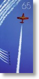 High Flyer - 65th