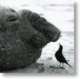 Little And Large