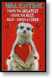 Loved-up Meerkat, Funny Rude Valentine's Day Card