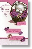 Petunias & Pansies
