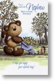 Apple Scrumpimg, Nephew Birthday Card