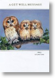 Owls, Get Well Card