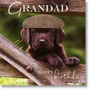 Flat Cap Pup, Grandad Birthday Card