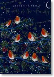 Christmas Robins, For All the Family Christmas Card