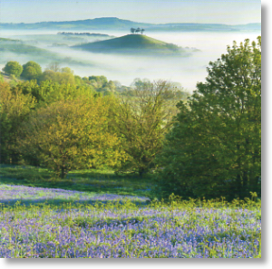 Colmer's Hill, Scenic Blank Card