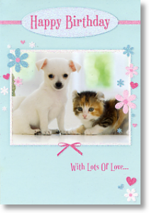 Puppy and Kitten