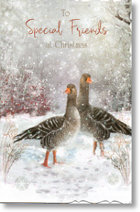 Greylag Geese, Special Friends Christmas Card