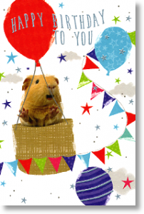 Guinea Pig, Cute Children's Birthday Card