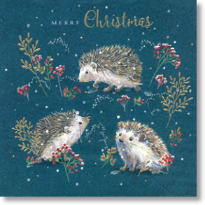 Hedgehogs, General Christmas Card