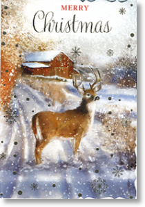 Just for You, Christmas Card