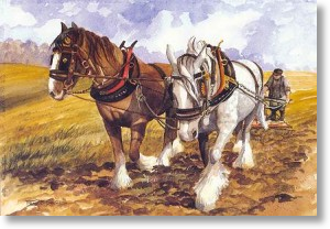 Ploughing the Field