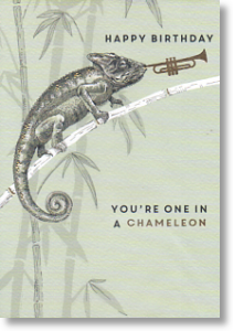 One in a Million, Birthday Card for Him