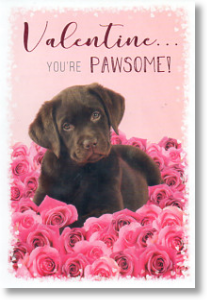 Pawsome, Cute Valentine's Day Card