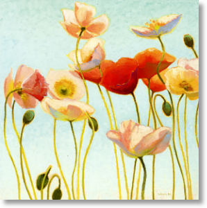 Poppies, Birthday Card for Her