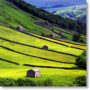 Rolling Hills, Scenic Blank Card