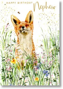 Smiling Fox, Nephew Birthday Card