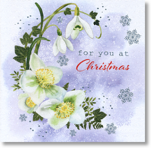 Snowdrops and Roses, Christmas Card